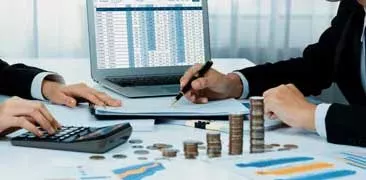 Finance and Consulting Industry